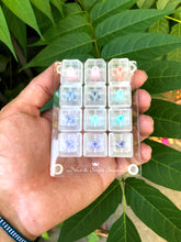 Load image into Gallery viewer, Zeal Sampler Pack